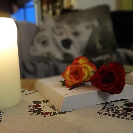 Romantik Prinz Ehrwald